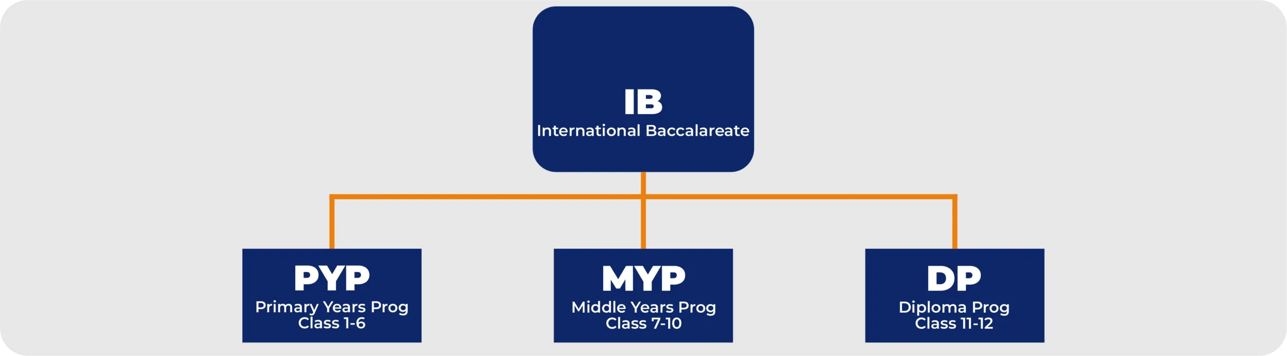ib